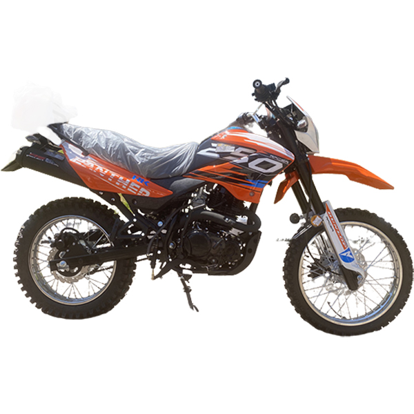 Мотоцикл Racer RC250GY-C2 Panther (оранжевый)