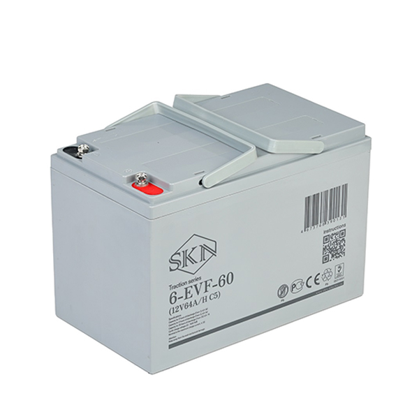 Тяговый аккумулятор SKN 6-EVF-60 (12V64A/H C5)