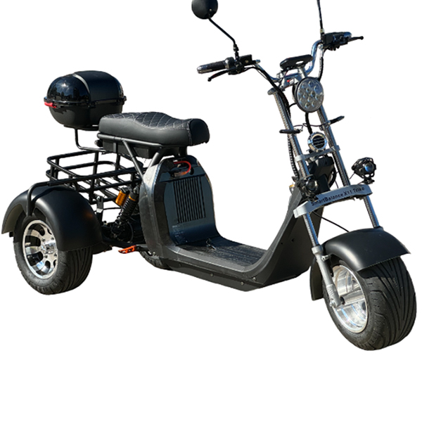 Электротрицикл Smart Balance X11 Trike (черный)