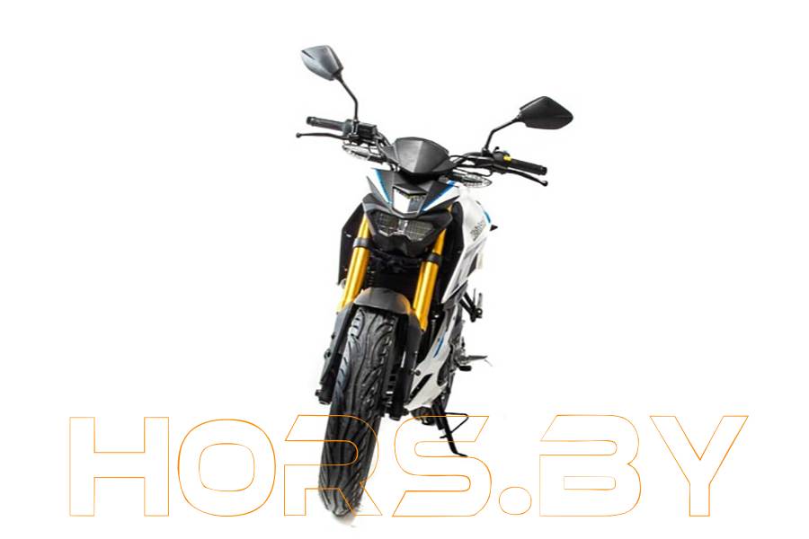 Мотоцикл Motoland MT 250 (172FMM-5/PR250, белый) купить по низкой цене