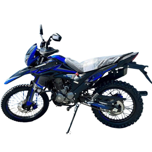 Мотоцикл Racer RC-300GY-8 XSR (синий)