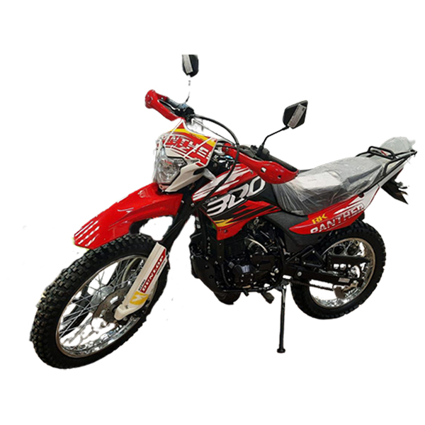 Мотоцикл Racer RC300-GY8Х Panther (красный)
