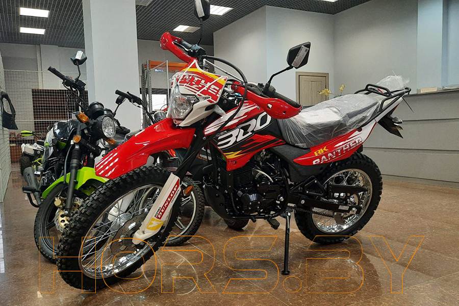 Мотоцикл Racer RC300-GY8Х Panther (красный) купить по низкой цене