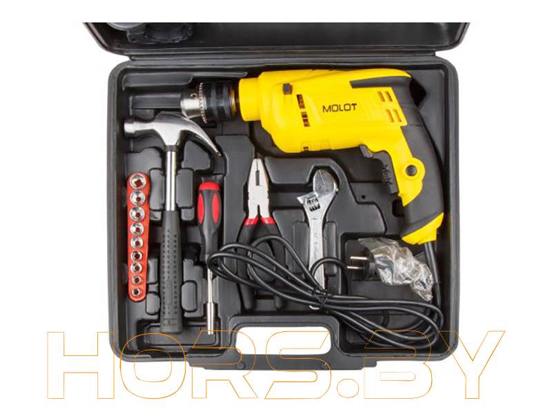 Набор инструмента MOLOT MDS 1050 SET в чем. (MDS1050SET42621)