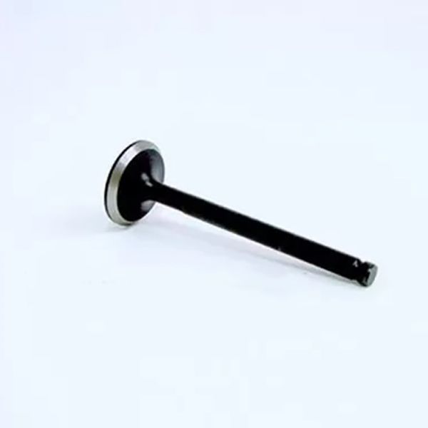 Впускной клапан SV1 139QMB 163