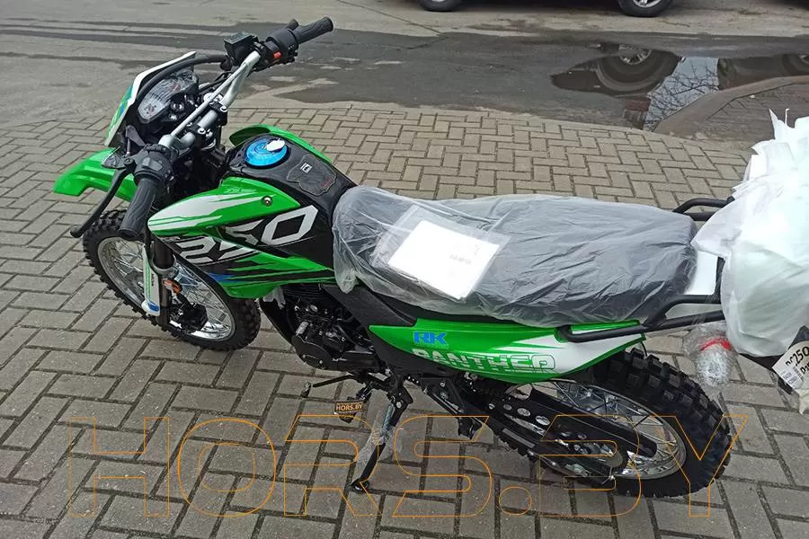 Мотоцикл Racer RC250GY-C2 Panther (зеленый) купить по низкой цене