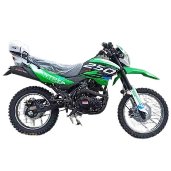 Мотоцикл Racer RC250GY-C2 Panther (зеленый)