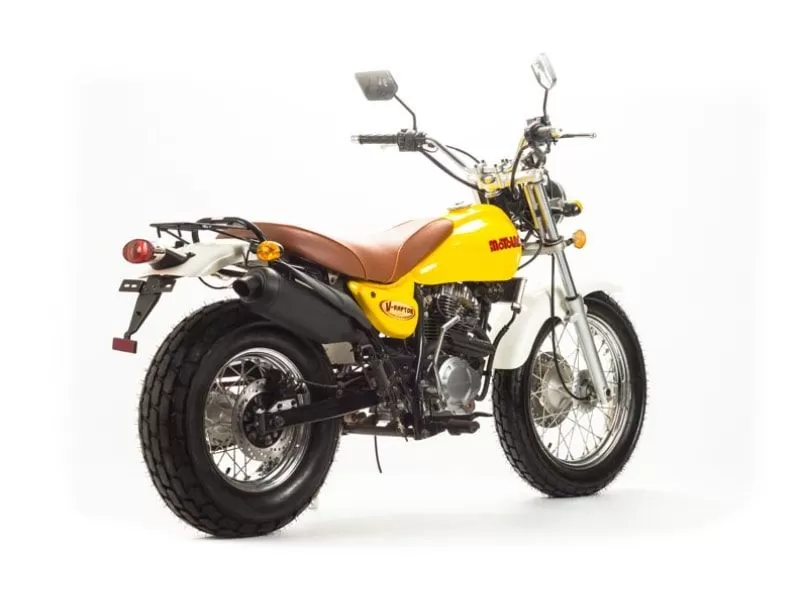 Мотоцикл MotoLand V-RAPTOR 250 купить по низкой цене