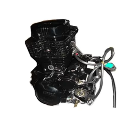 Двигатель 166FMM 250 cc (RC250CS Skyway)