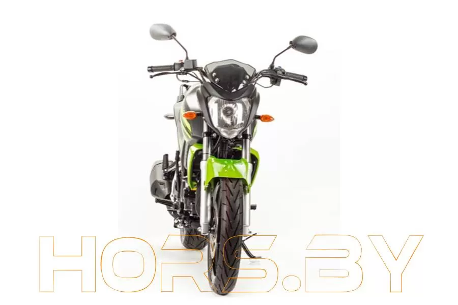 Мотоцикл MotoLand BANDIT 250 (зеленый) купить по низкой цене